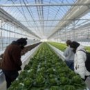 이지팜(easy farm) 네이버블로그