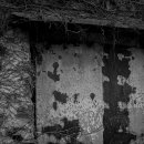 일과2리 이미지