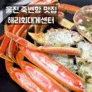 백사장회센터 | 울진 죽변항 맛집 해리회대게센터(구 해무리회대게) 방문 후기