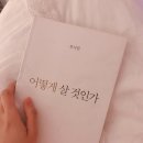 뷰티라벳