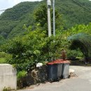 옥분농장 이미지