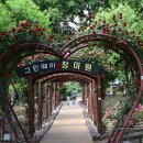 서구국민체육센터 | 대구 서구 중리동 그린웨이 장미원