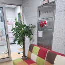 현리효소편백원
