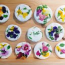 건강한새싹어린이집 이미지