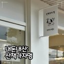 하루산책 | 내돈내산 | 파주 산책가자멍 반려견 미용 후기 (feat. 망치의 하루)