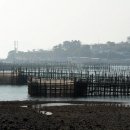 실안 노을길 이미지