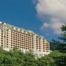 양지파인리조트 이미지