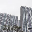 이편한일광스타공인중개사사무소 이미지
