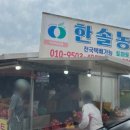 진하농원