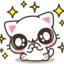 청솔한우 이미지