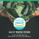 상산인력 이미지