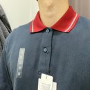 콘트라스트 이미지