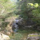 대강면 석촌마을 이미지