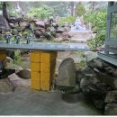 천일사 | 홍성사주 천일사에서 찾은 인생의 실마리