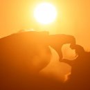 2025 해돋이 행사 이미지