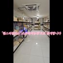 로던트클럽 화정 본점 | 2026년 2월 페디그리햄스터 분양 소식! 충남 당진 햄스터월드&amp;로던트클럽