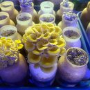 용남농장 이미지