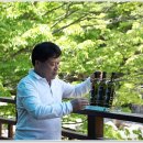 느티나무산장