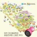 부천꽃