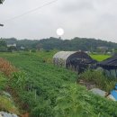 무성산성 | (안성)백제의산성&amp;도기동산성&amp;도기동유적