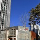 아티장베이커스컴퍼니 파주점 | 파주 운정 스타필드빌리지 빵집｜아티장베이커스