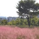 동호유적근린공원 이미지