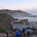 노물리 블루로드길 | 28회차 블루로드 모니터링