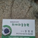 쌍치블루베리 이미지