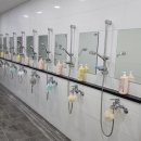 스윔스타즈 이미지