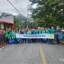 금강송면사무소 이미지