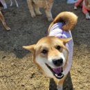 성남유치원 이미지