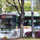 영광자동차병원 이미지