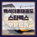 백석 더 혼 태권도 | 차량 광고 랩핑 천안 아산 - 애드플랜 "백석 더혼 태권도 합기도" 스타렉스 부분 랩핑