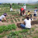 초지종합사회복지관 이미지