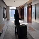 그레이PC | 브라이튼 캐리어 28 루미 그레이 사용 후기! 브라이튼몰 내돈내산 여행템