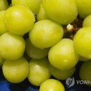 천등산유통