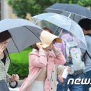 강풍 이미지
