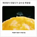 바글바글야채 이미지
