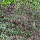 도산면 한퇴마을입구 이미지