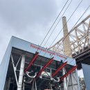 (주)나나렌트카 | 뉴욕 여행 일기_11월 2주차(feat.그랜드캐년)