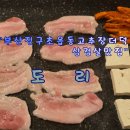 생생더덕삼겹살 - 강릉시 임영로 39 | [부산진구]초읍동 삼겹살 맛집 고추장더덕 삼겹살 추천 다녀온 내돈내산후기