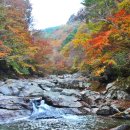 지리산 뱀사골 단풍 축제 이미지