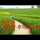 밀밭길 추억 - 허인순( MBC라디오 드라마 '사랑의 계절'OST) 1980 이미지