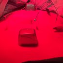 비밀의정원한의원 이미지