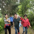 덕산 은행나무길 이미지