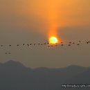 오리천국 이미지