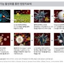 주식회사 엠에이치씨
