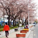 전주시 덕진구청 이미지