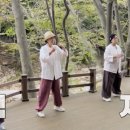 같이삽시다 이미지