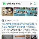 해뜨는장